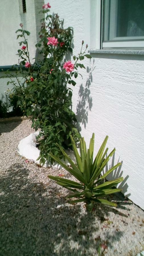Apartment Roko Vir Luaran gambar